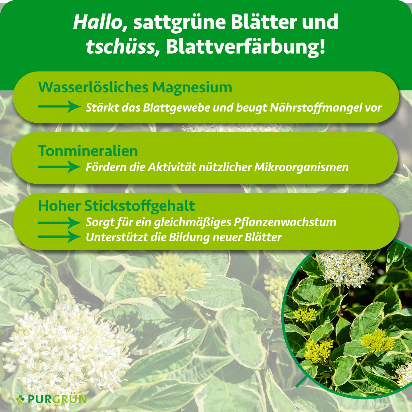 Hartriegel-Dünger 1 kg