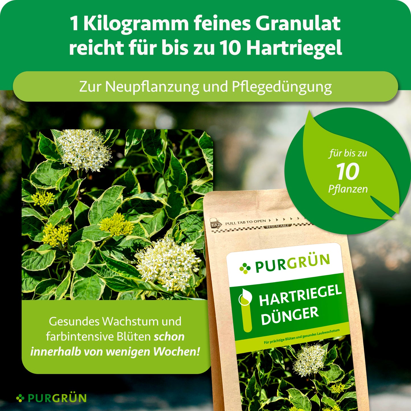 Hartriegel-Dünger 1 kg