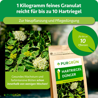Hartriegel-Dünger 1 kg