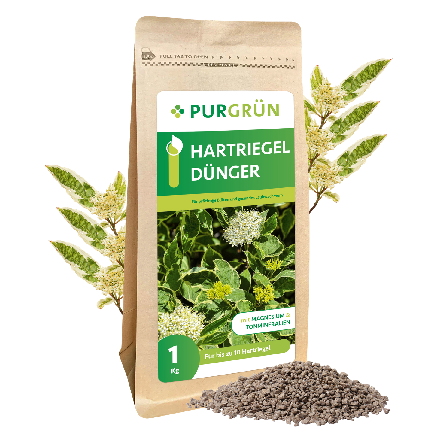 Abgebildet ist ein 1 kg-Sack Purgrün Hartriegel-Dünger mit grünem Etikett, Abbildungen von blühenden Pflanzen und gräulichem Granulat. Blätter und weiße Blüten im Hintergrund unterstreichen die Unterstützung einer gesunden Blattentwicklung.