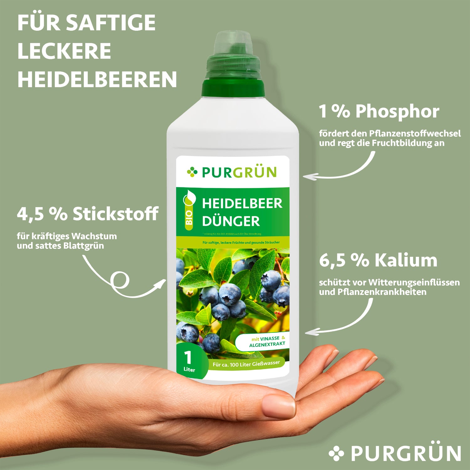 Eine Hand hält eine Flasche Purgrün Bio-Heidelbeerdünger 1 Liter vor grünem Hintergrund. Auf dem Etikett stehen 4,5 % Stickstoff, 1 % Phosphor und 6,5 % Kalium – perfekt für gesundes Pflanzenwachstum und geeignet für den ökologischen Landbau.