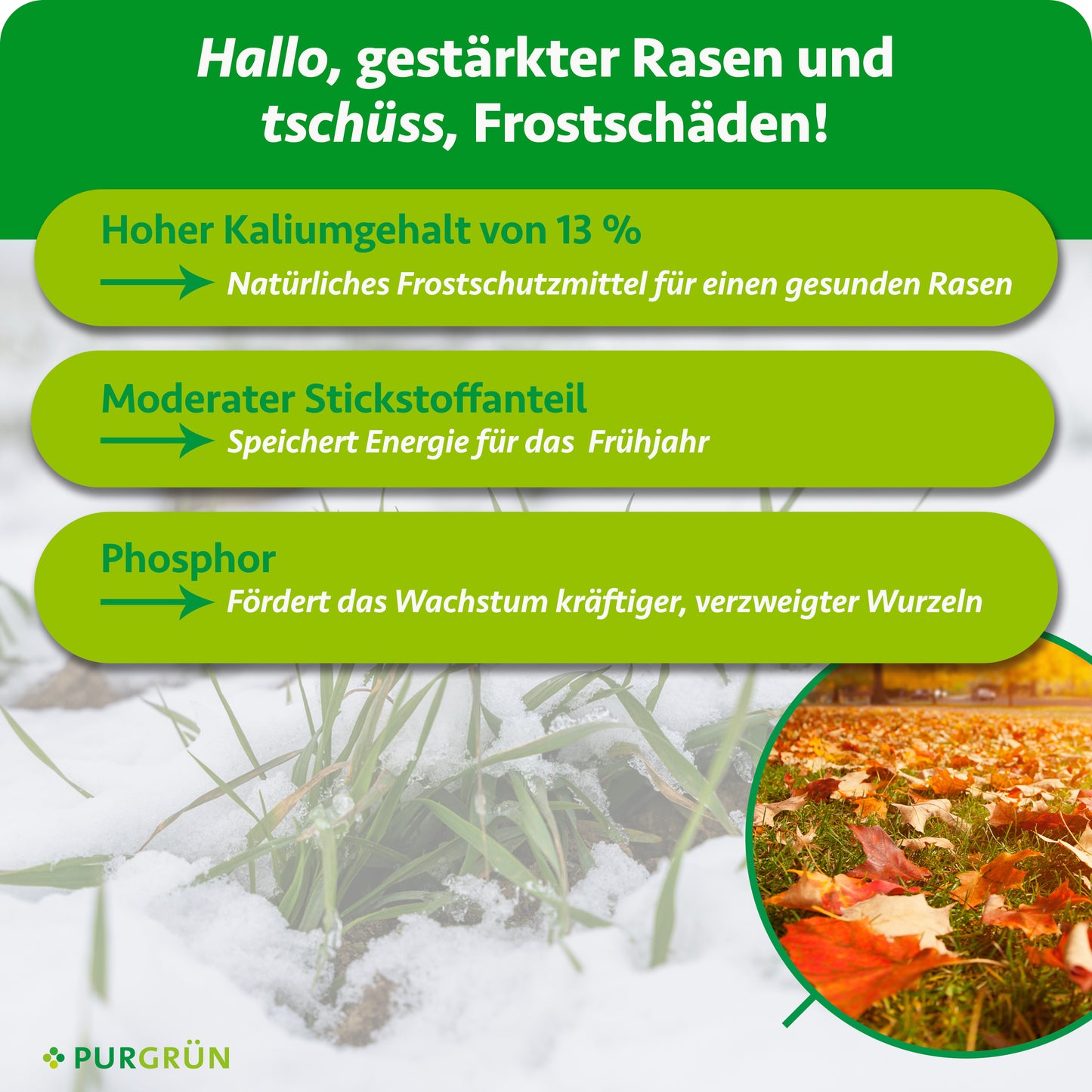 Herbstrasendünger 10 kg