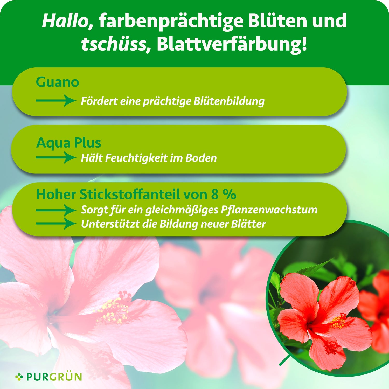 Purgrün Hibiskus-Dünger 1 Liter