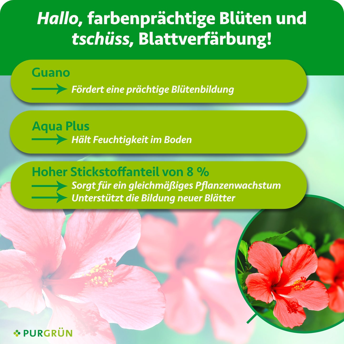 Hibiskus-Dünger 1 Liter