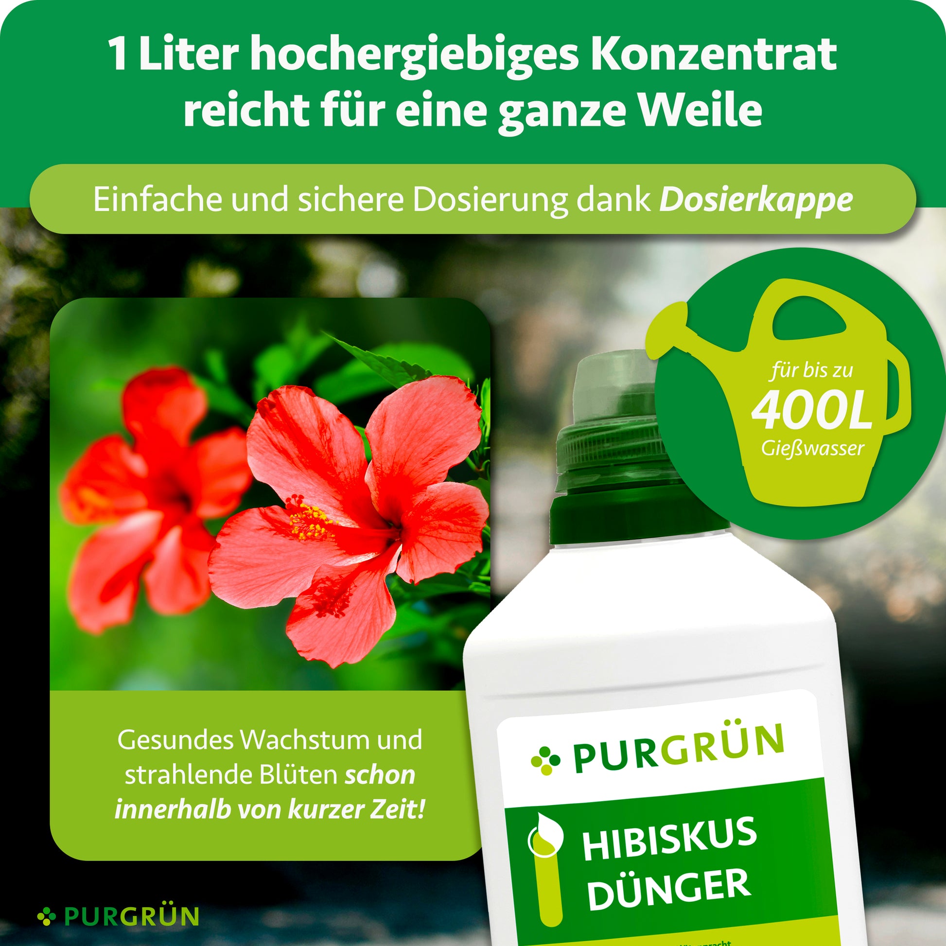 Purgrün Hibiskus-Dünger 1 Liter