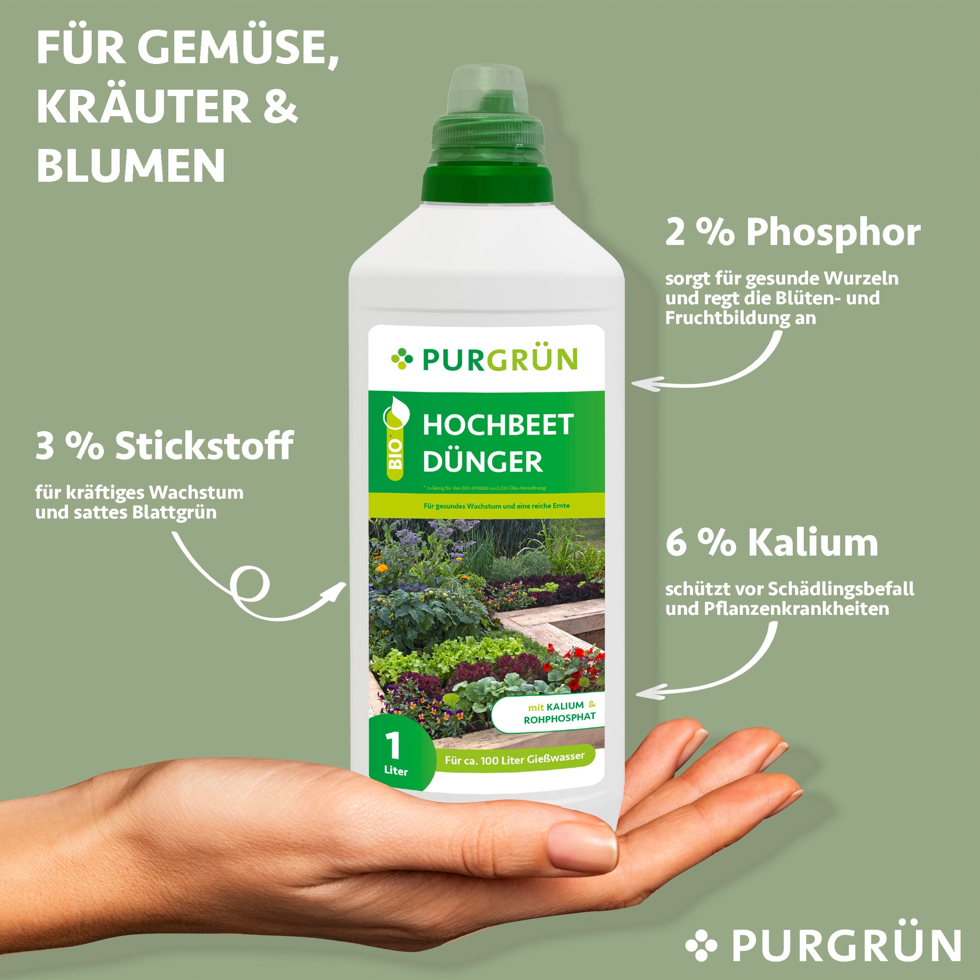 Eine Hand hält eine Flasche Purgrün Bio-Hochbeet-Dünger 1 Liter. Pfeile zeigen die Vorteile: 3 % Stickstoff für das Wachstum, 2 % Phosphor für Wurzeln/Blüten und 6 % Kalium zum Schutz vor Schädlingen – perfekt für nachhaltiges Gärtnern.