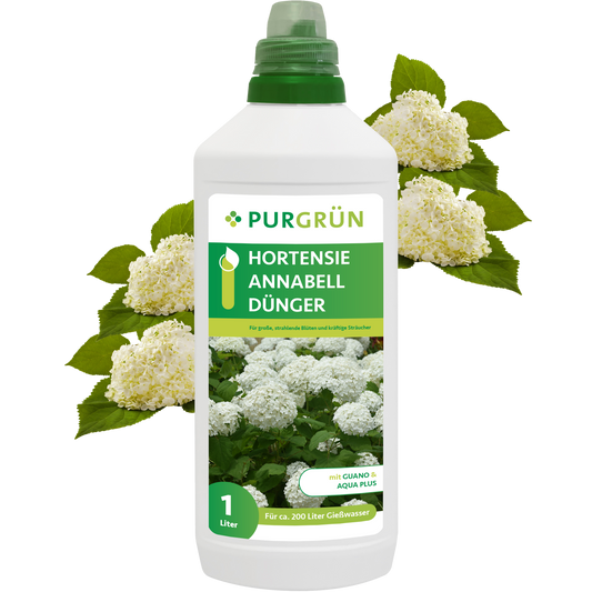 Hortensie-Annabell-Dünger 1 Liter