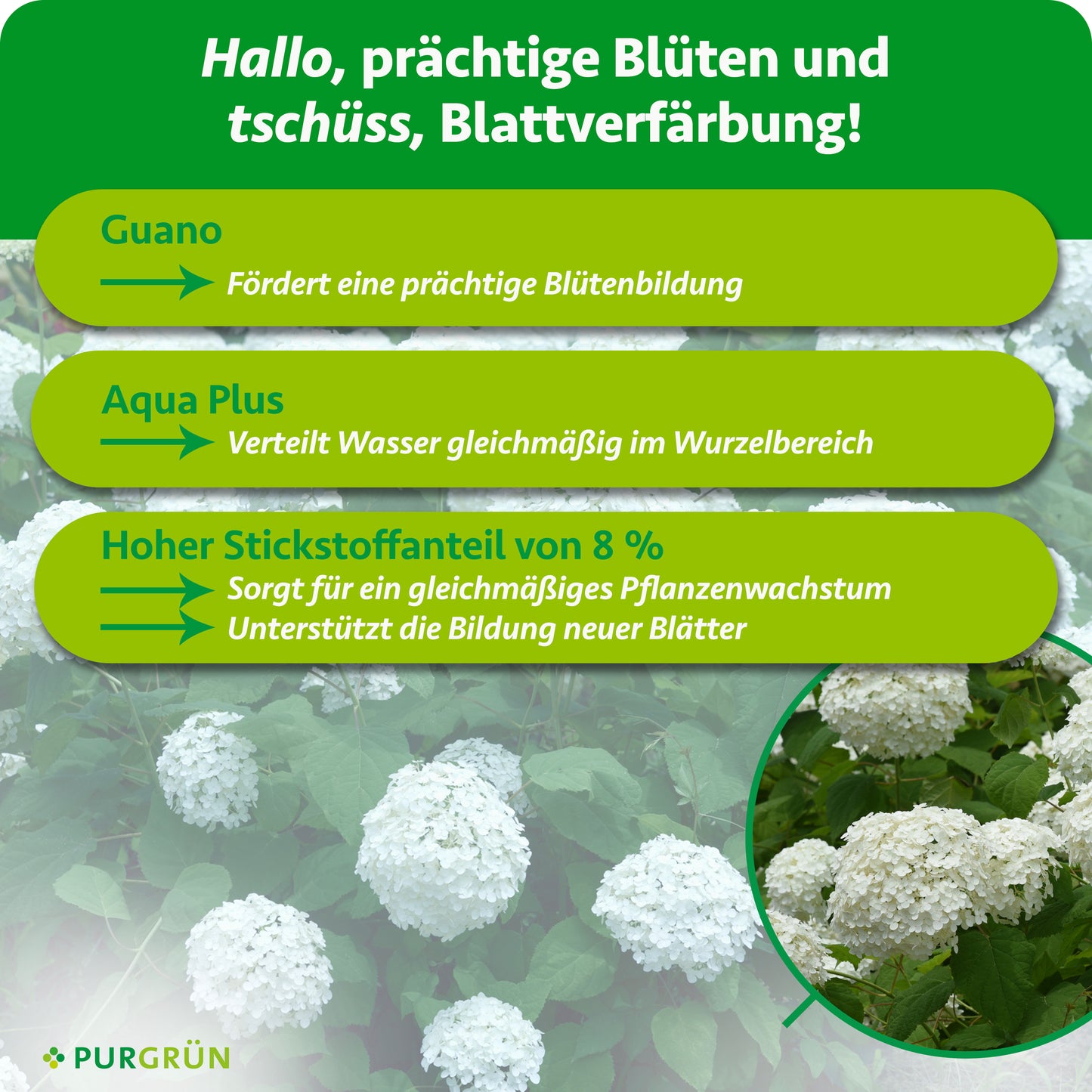 Hortensie-Annabell-Dünger 1 Liter