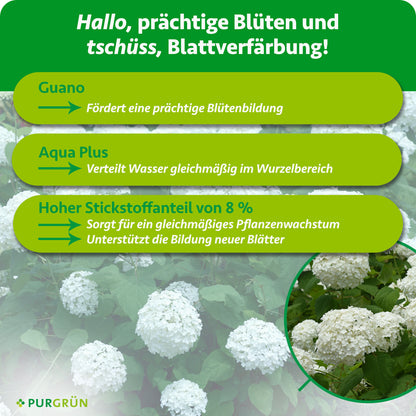 Hortensie-Annabell-Dünger 1 Liter