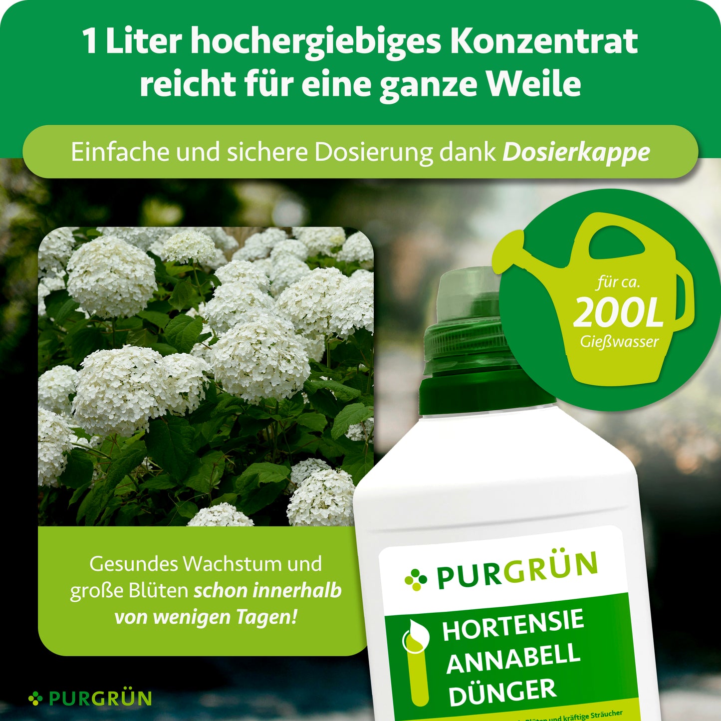Hortensie-Annabell-Dünger 1 Liter