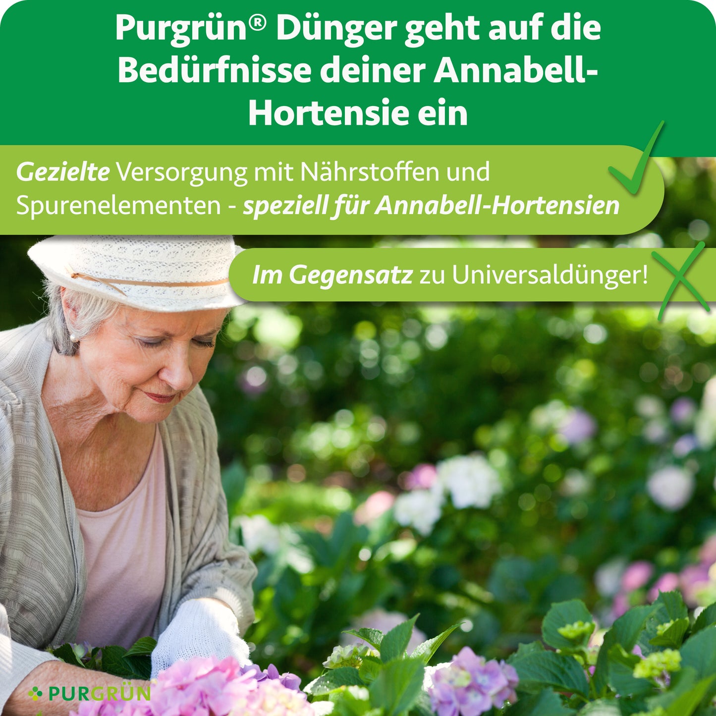 Hortensie-Annabell-Dünger 1 Liter