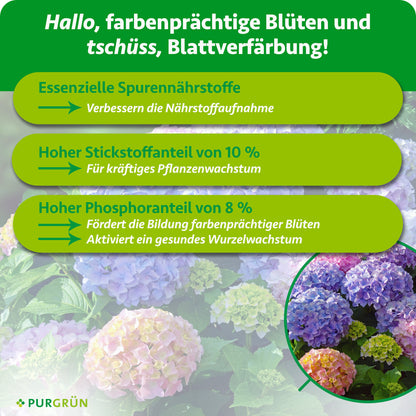 Eine grün-gelbe Infografik mit blühenden Hortensien gibt Tipps für farbenfrohe Blüten: Mikronährstoffe, 10% Stickstoff und 8% Phosphor mit dem Hortensiendünger 1 Liter von Purgrün. Das Purgrün-Logo befindet sich unten links.