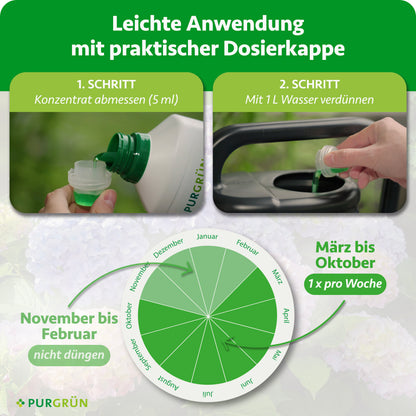 Purgrün Hortensiendünger 1 Liter (NPK 10-8-6) wird von Hand in eine Dosierkappe gefüllt, in einer Gießkanne mit Wasser vermischt und von März bis Oktober wöchentlich gedüngt; von November bis Februar wird nicht gedüngt.