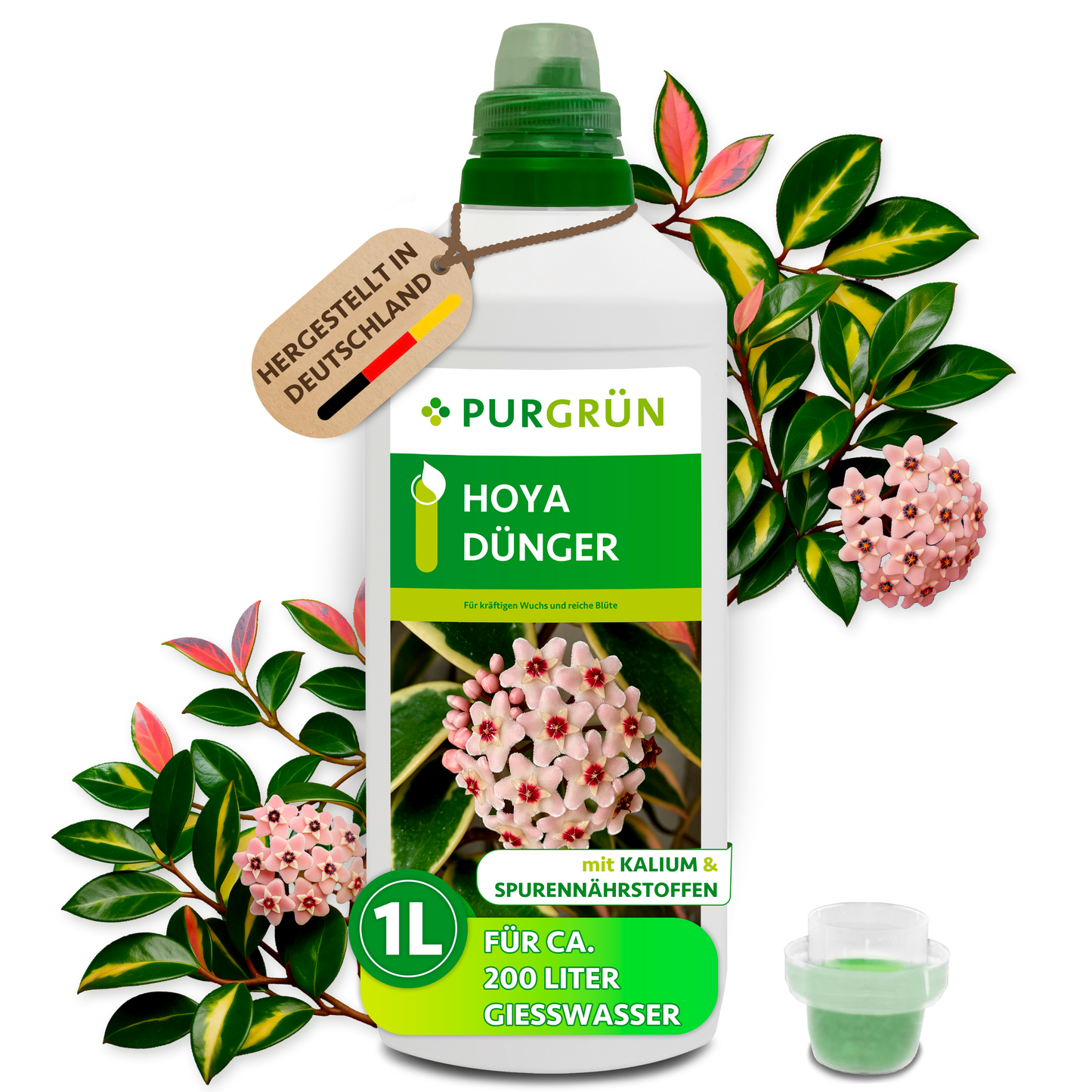 Purgrün Hoya-Dünger in der 1-Liter-Flasche mit Dosierkappe, umgeben von Hoya-Blüten und Blättern, mit Anhänger „Hergestellt in Deutschland“.