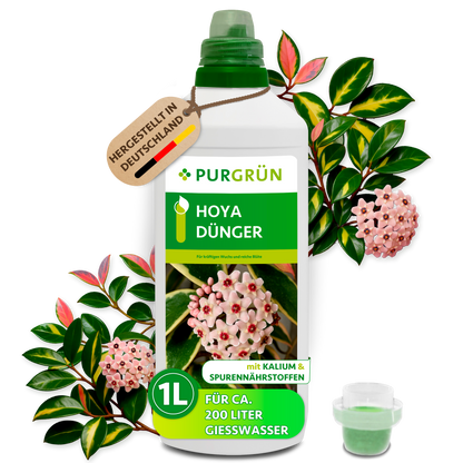 Purgrün Hoya-Dünger in der 1-Liter-Flasche mit Dosierkappe, umgeben von Hoya-Blüten und Blättern, mit Anhänger „Hergestellt in Deutschland“.