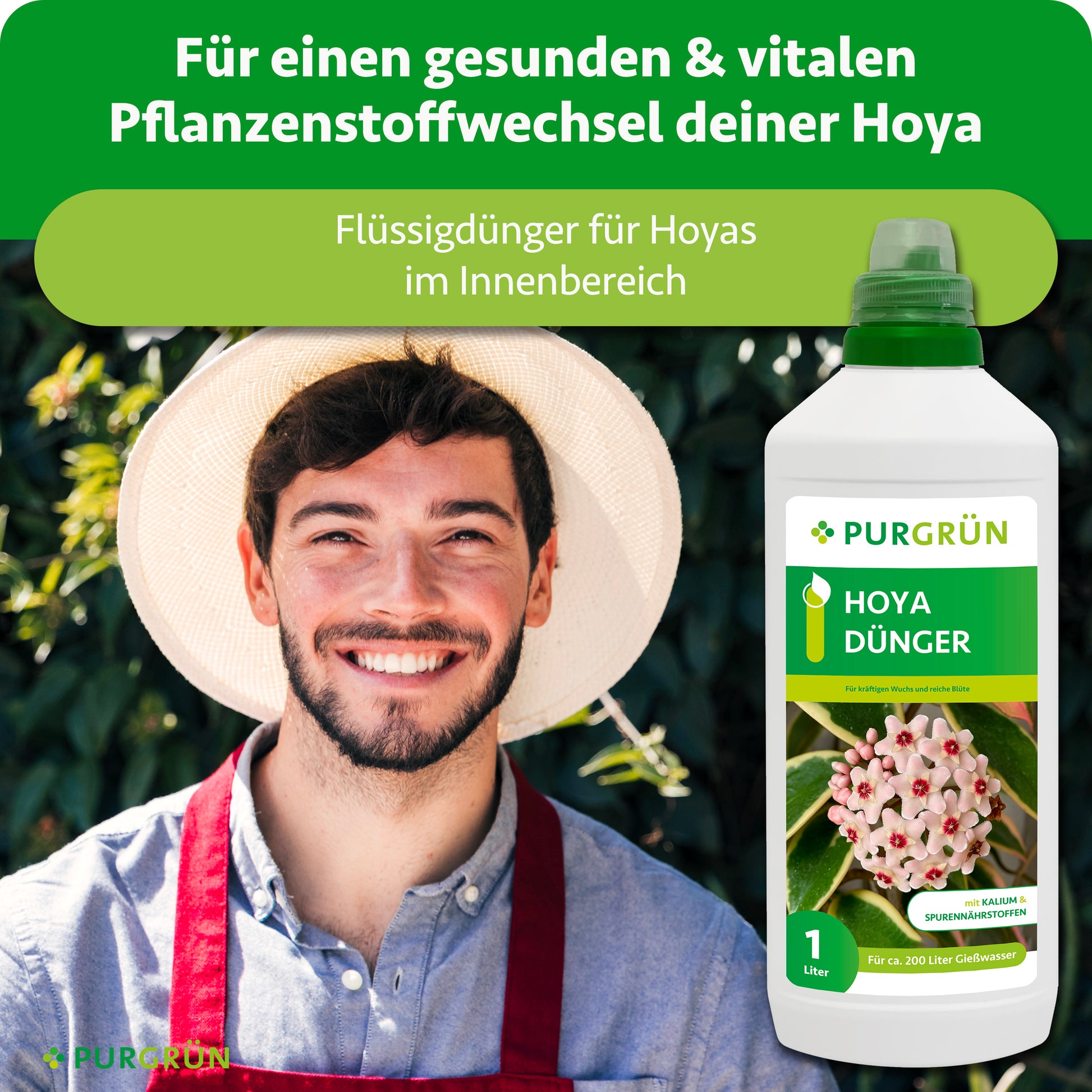 Hoya-Flüssigdünger für den Innenbereich, beworben für kräftigen Wuchs und reiche Blüte der Wachsblume.