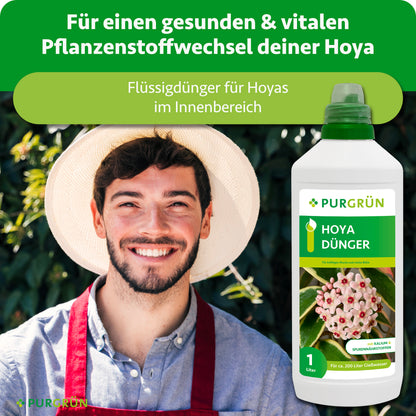 Hoya-Flüssigdünger für den Innenbereich, beworben für kräftigen Wuchs und reiche Blüte der Wachsblume.