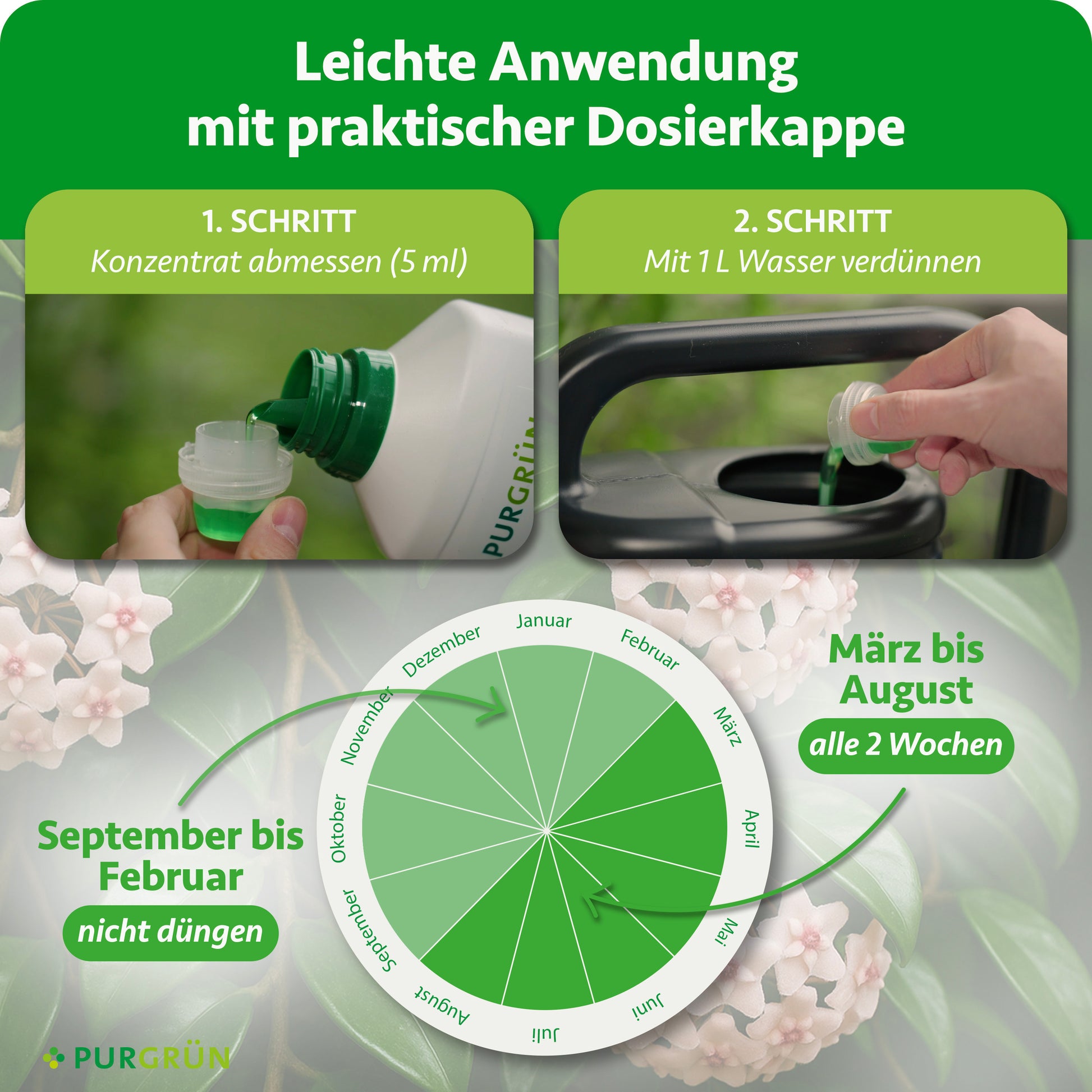 Anwendung: 5 ml Konzentrat auf 1 Liter Wasser. Von März bis August alle 2 Wochen düngen, von September bis Februar nicht düngen.