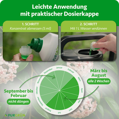 Anwendung: 5 ml Konzentrat auf 1 Liter Wasser. Von März bis August alle 2 Wochen düngen, von September bis Februar nicht düngen.