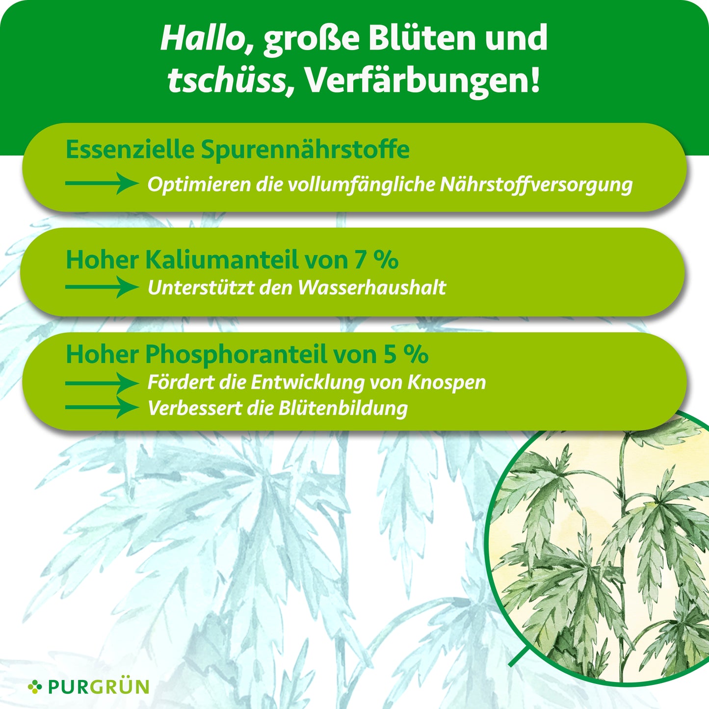 Hybrid-Bloom-Dünger 1 Liter