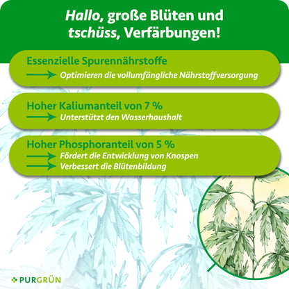 Hybrid-Bloom-Dünger 1 Liter