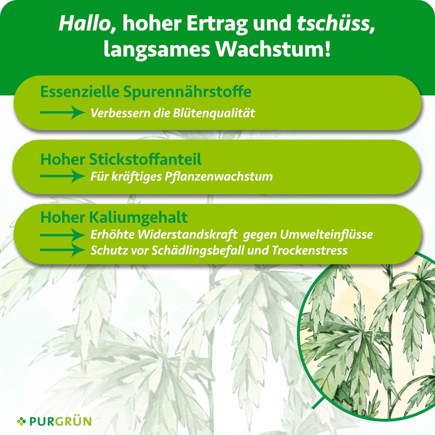 Hybrid-Dünger-Set 2 x 1 Liter