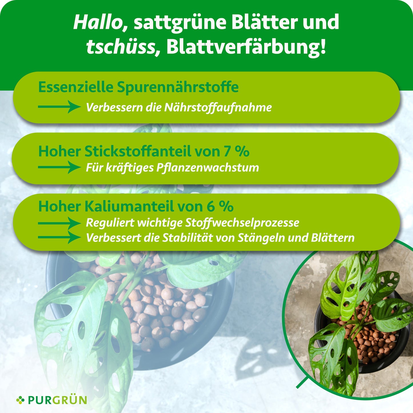 Hydrokultur-Dünger 1 Liter