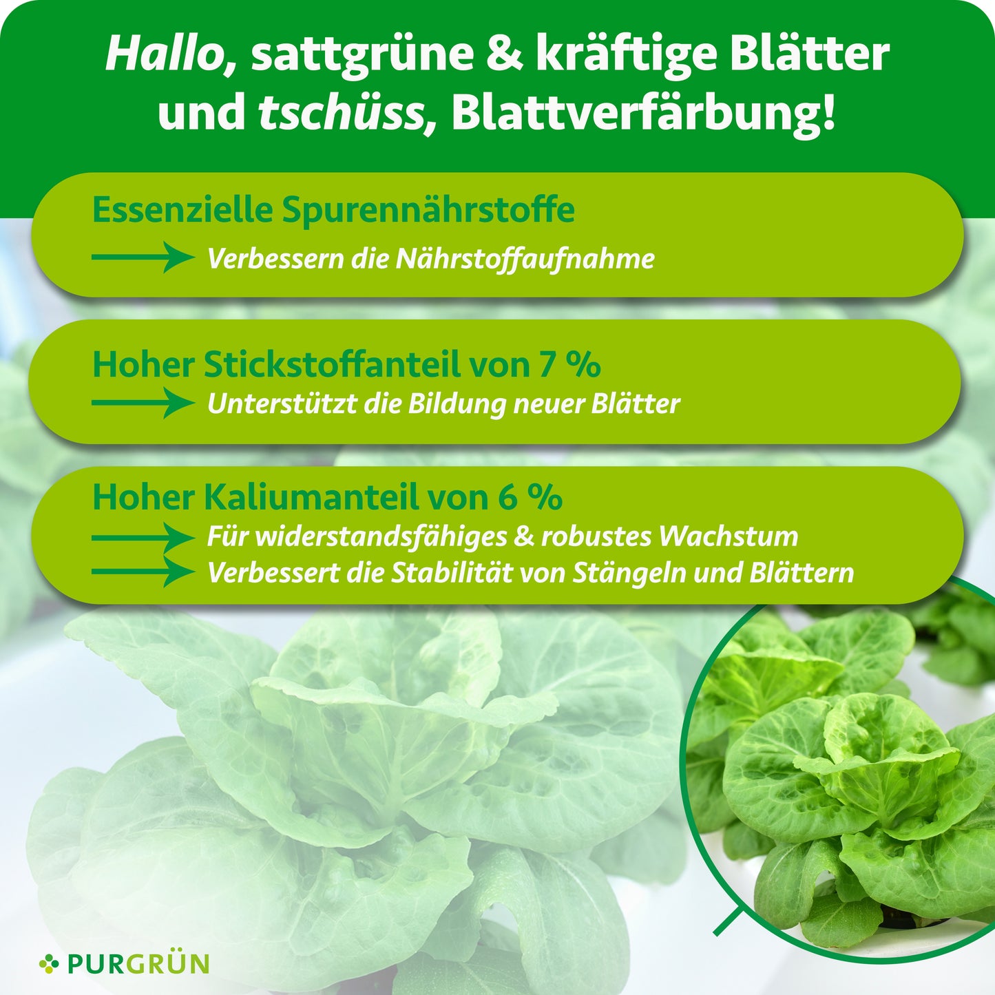 Hydroponik-Dünger 1 Liter