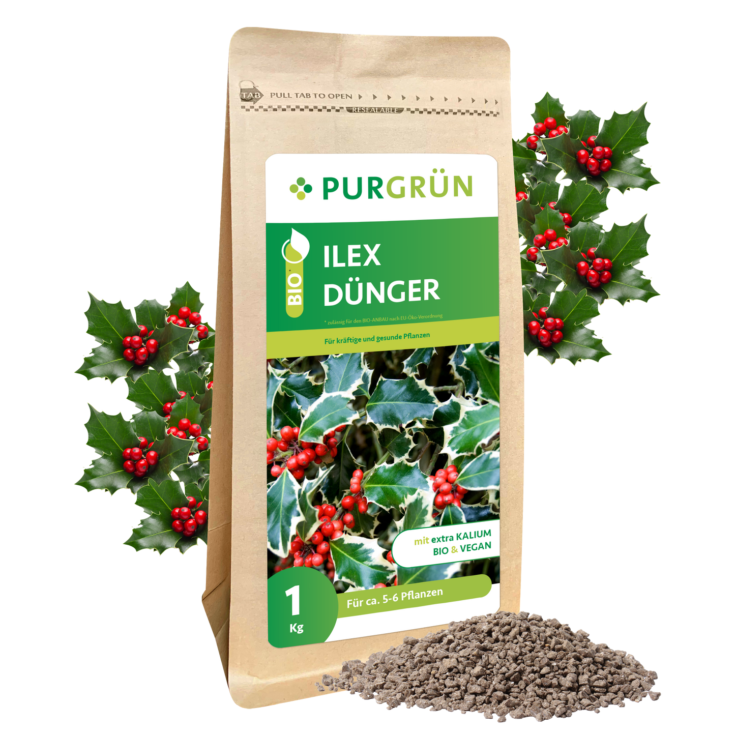 Auf einer braunen Papiertüte mit der Aufschrift "Purgrün Bio-Ilex-Dünger 1 kg" sind Stechpalmenblätter und rote Beeren abgebildet, dahinter Stechpalmenzweige und davor ein kleiner Haufen körniger Dünger.