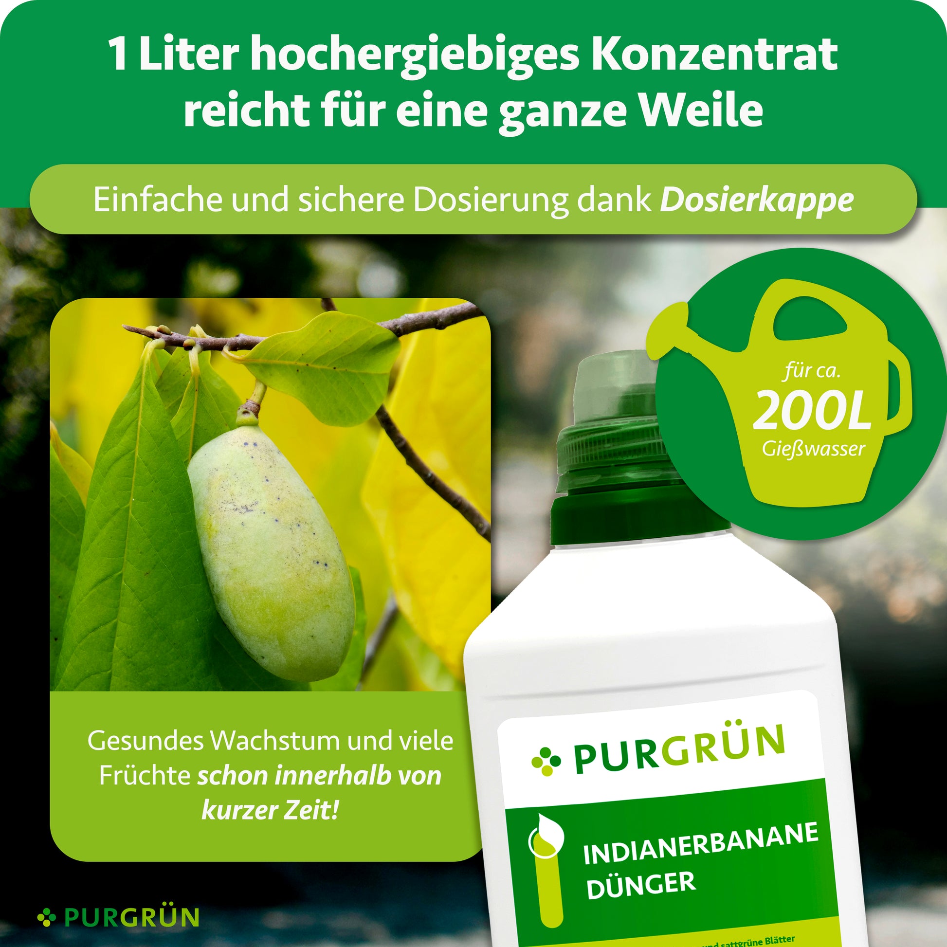 Purgrün Indianerbanane-Dünger 1 Liter