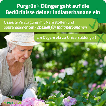 Indianerbanane-Dünger 1 Liter
