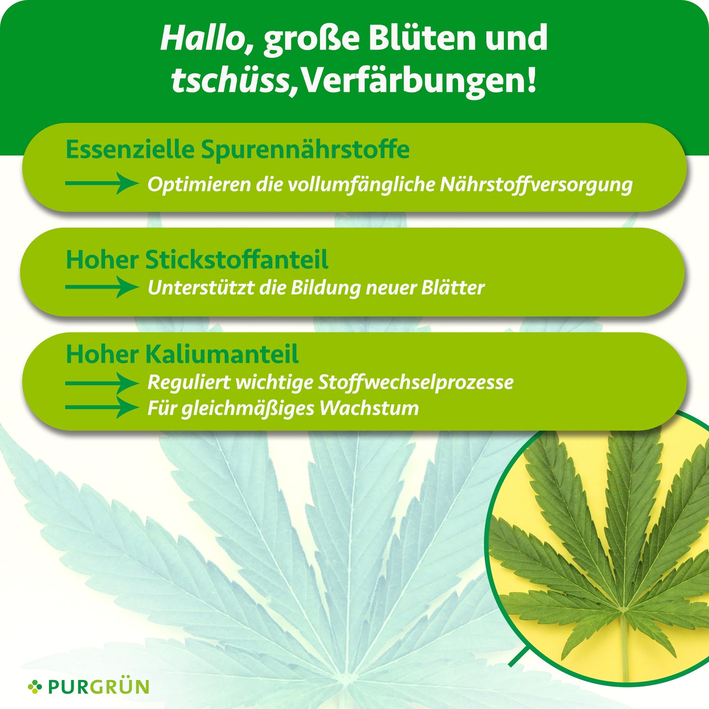 Indica-Bloom-Dünger 1 Liter