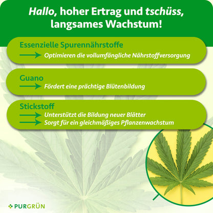 Indica-Dünger-Set 2 x 1 Liter