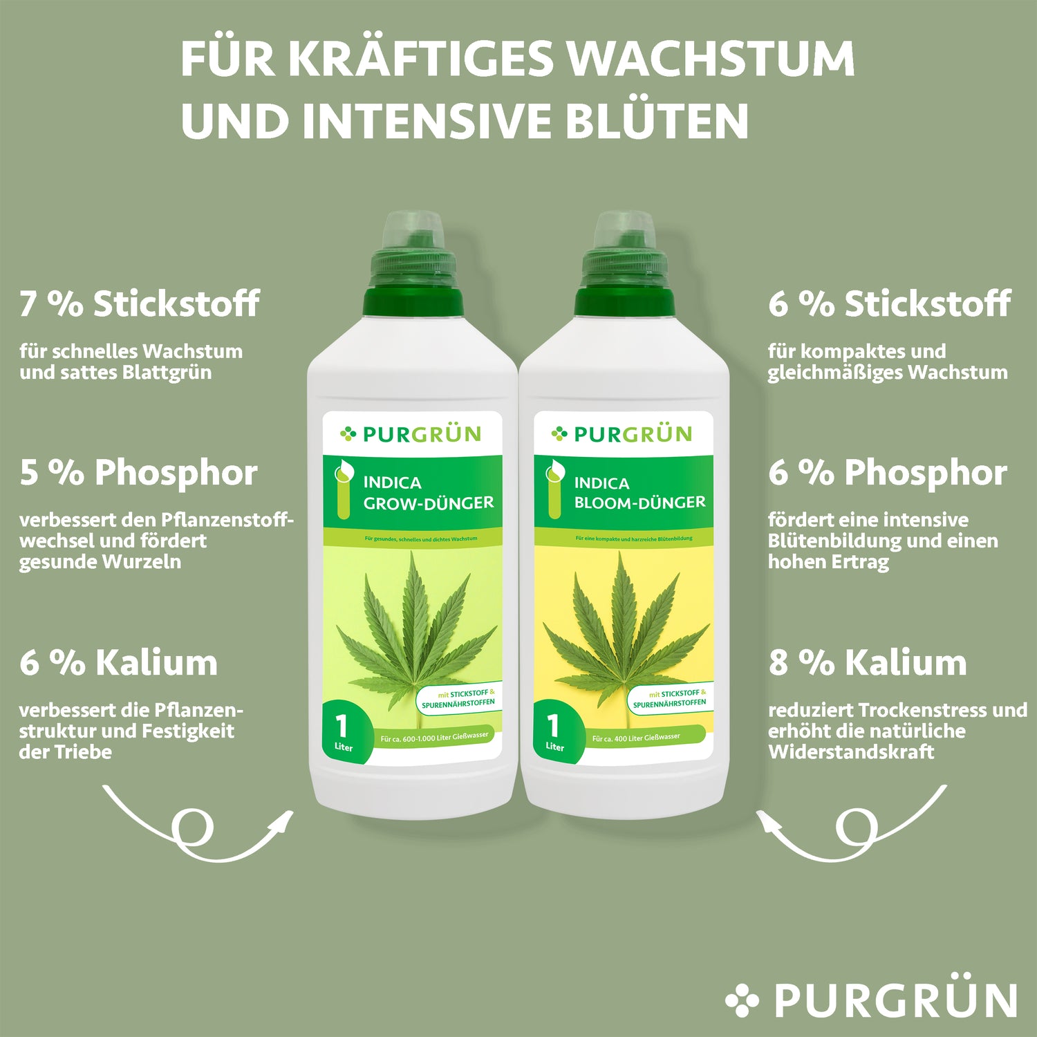 Abgebildet sind zwei Flaschen Purgrün Indica-Dünger-Set 2 x 1 Liter mit Indica-Grow- und Indica-Bloom-Nährstoffen, wobei deren Prozentsätze und Hauptvorteile für gesundes Pflanzenwachstum und Blüte hervorgehoben werden.