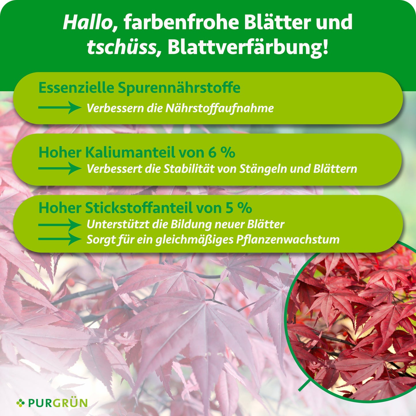 Japanischer-Ahorn-Dünger 1 kg