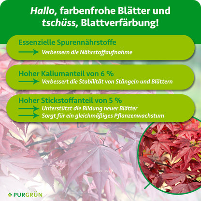 Japanischer-Ahorn-Dünger 1 kg