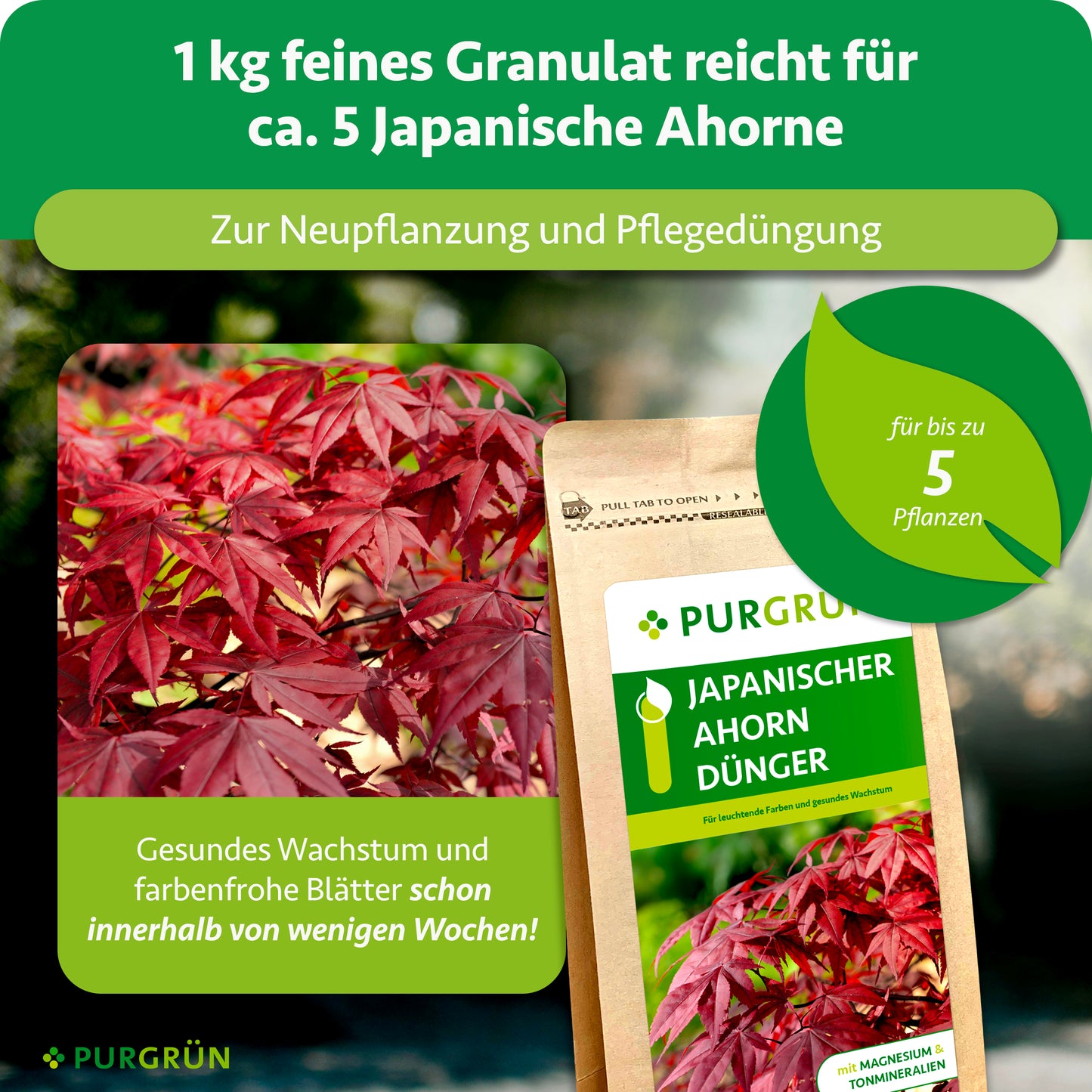 Japanischer-Ahorn-Dünger 1 kg