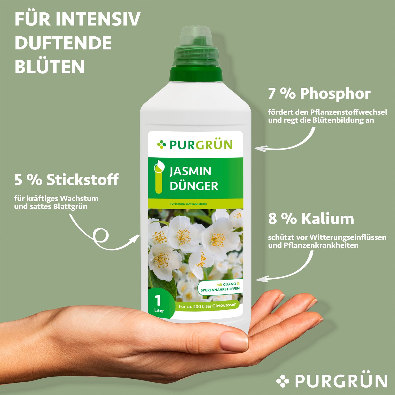 Eine Hand hält eine 1-Liter-Flasche Purgrün Jasmin-Dünger, einen organisch-mineralischen Dünger mit 5% Stickstoff für das Wachstum, 7% Phosphor für die Blüte und 8% Kalium für den Schutz. Grüner Hintergrund.