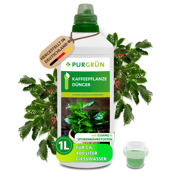 Purgrn Kaffeepflanze-Dnger 1 Liter