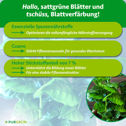 Kaffeepflanze-Dünger 1 Liter