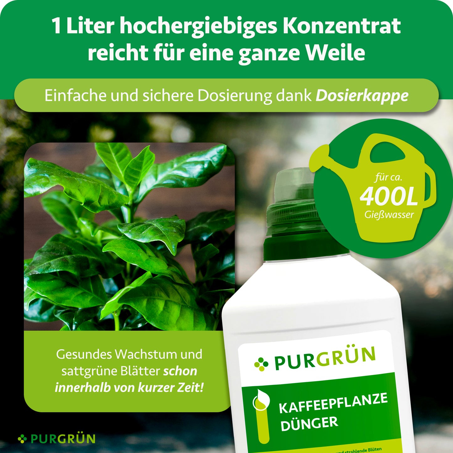 Kaffeepflanze-Dünger 1 Liter