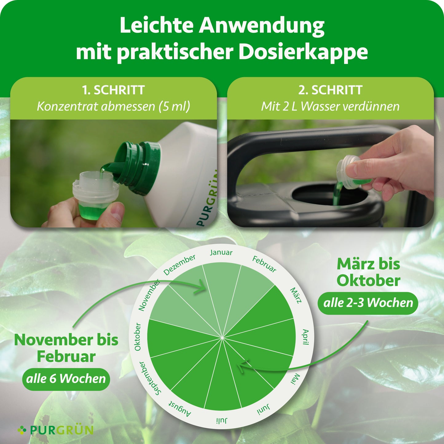 Kaffeepflanze-Dünger 1 Liter