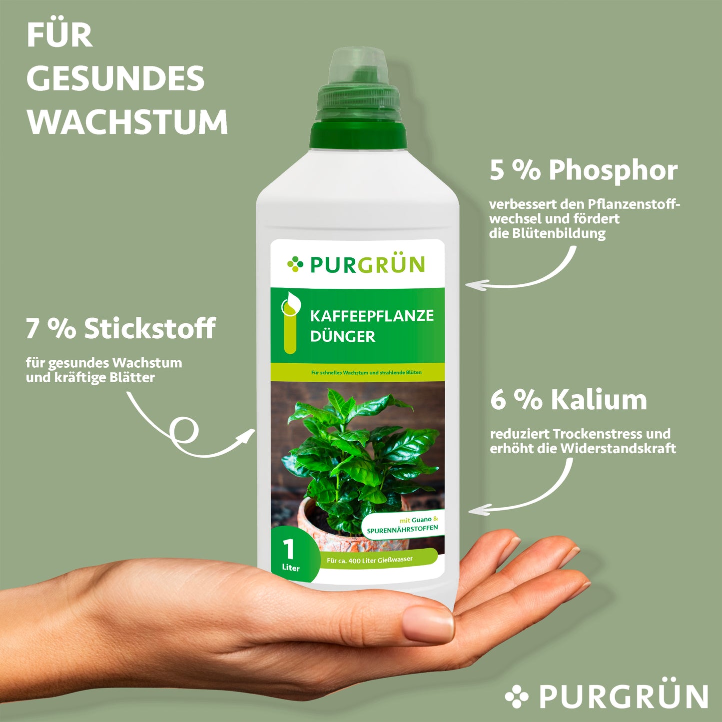 Kaffeepflanze-Dünger 1 Liter
