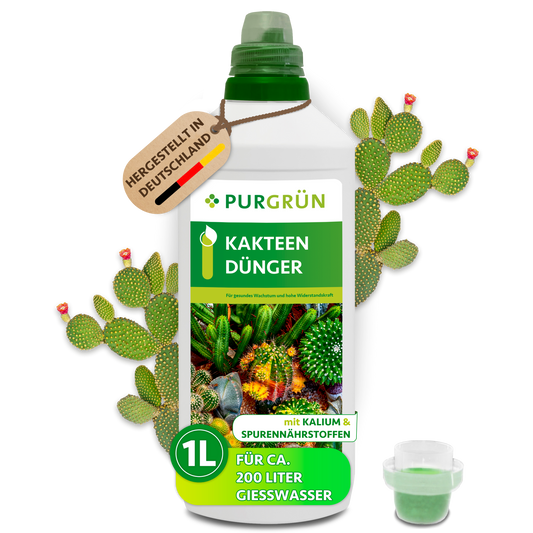 Kakteendünger 1 Liter