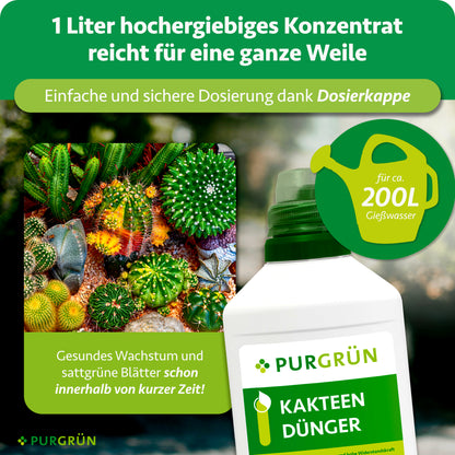 Kakteendünger 1 Liter