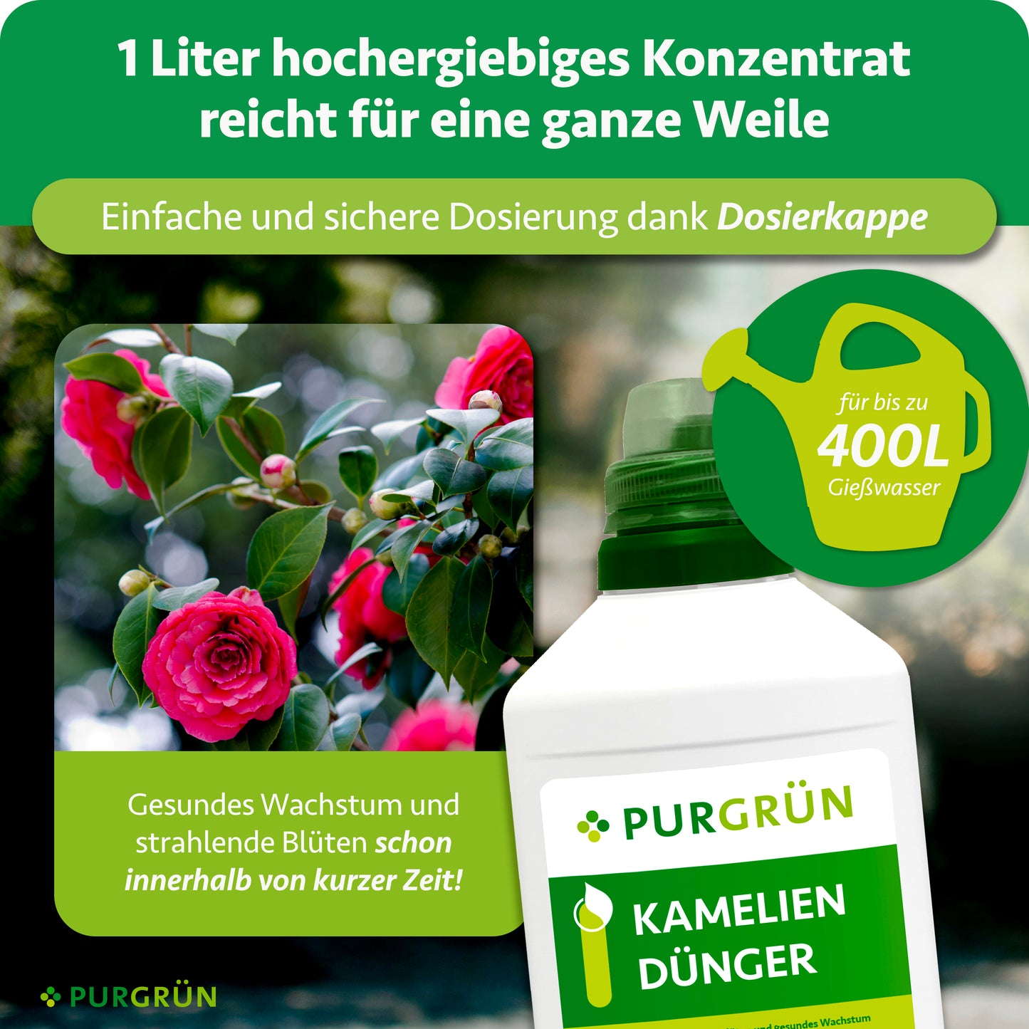 Kameliendünger 1 Liter