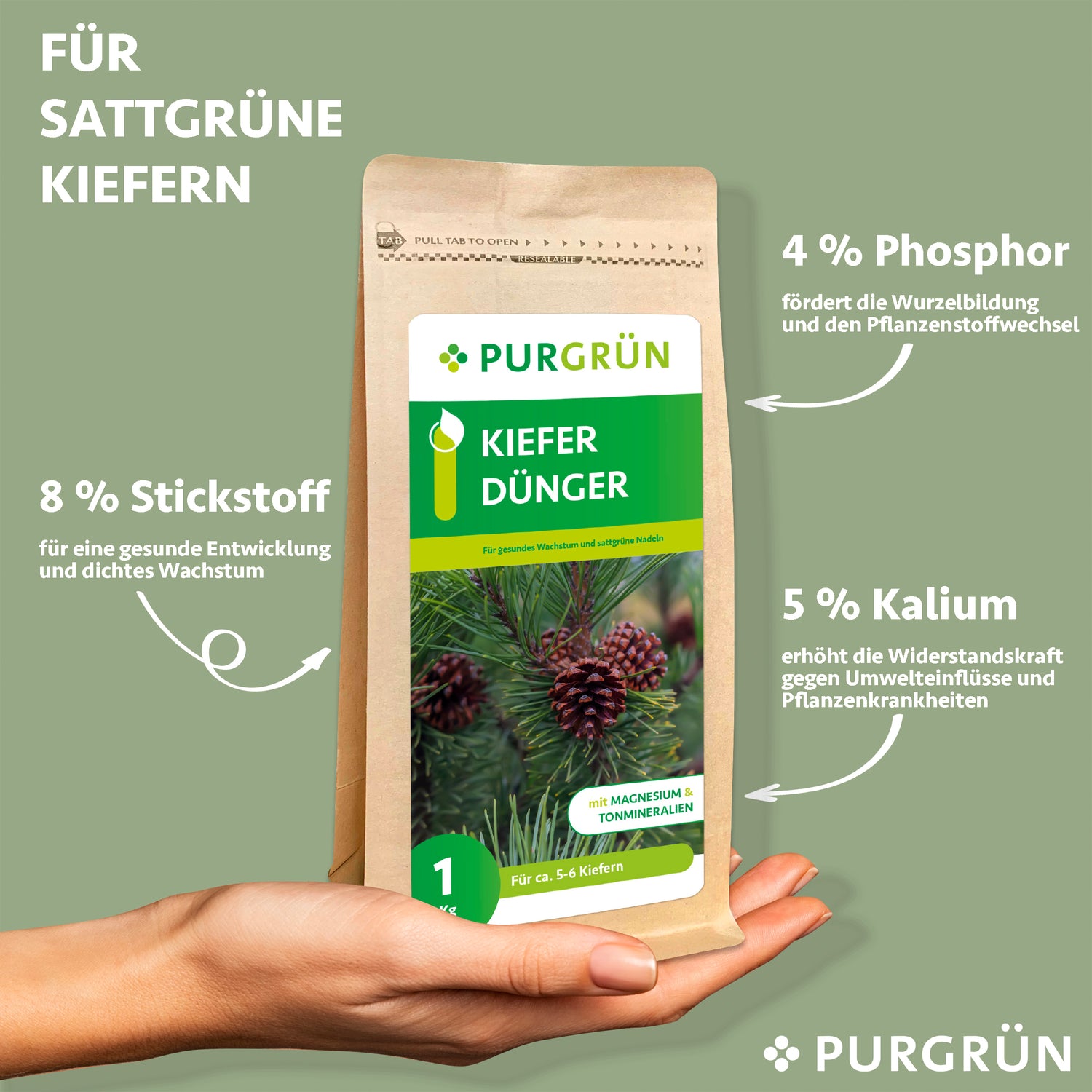 Eine Hand hält einen braunen Sack Purgrün Kiefer-Dünger 1 kg, einen organisch-mineralischen Dünger mit 8 % Stickstoff, 4 % Phosphor und 5 % Kalium. Auf dem Etikett sind Tannenzapfen und Nadelentwicklung abgebildet.