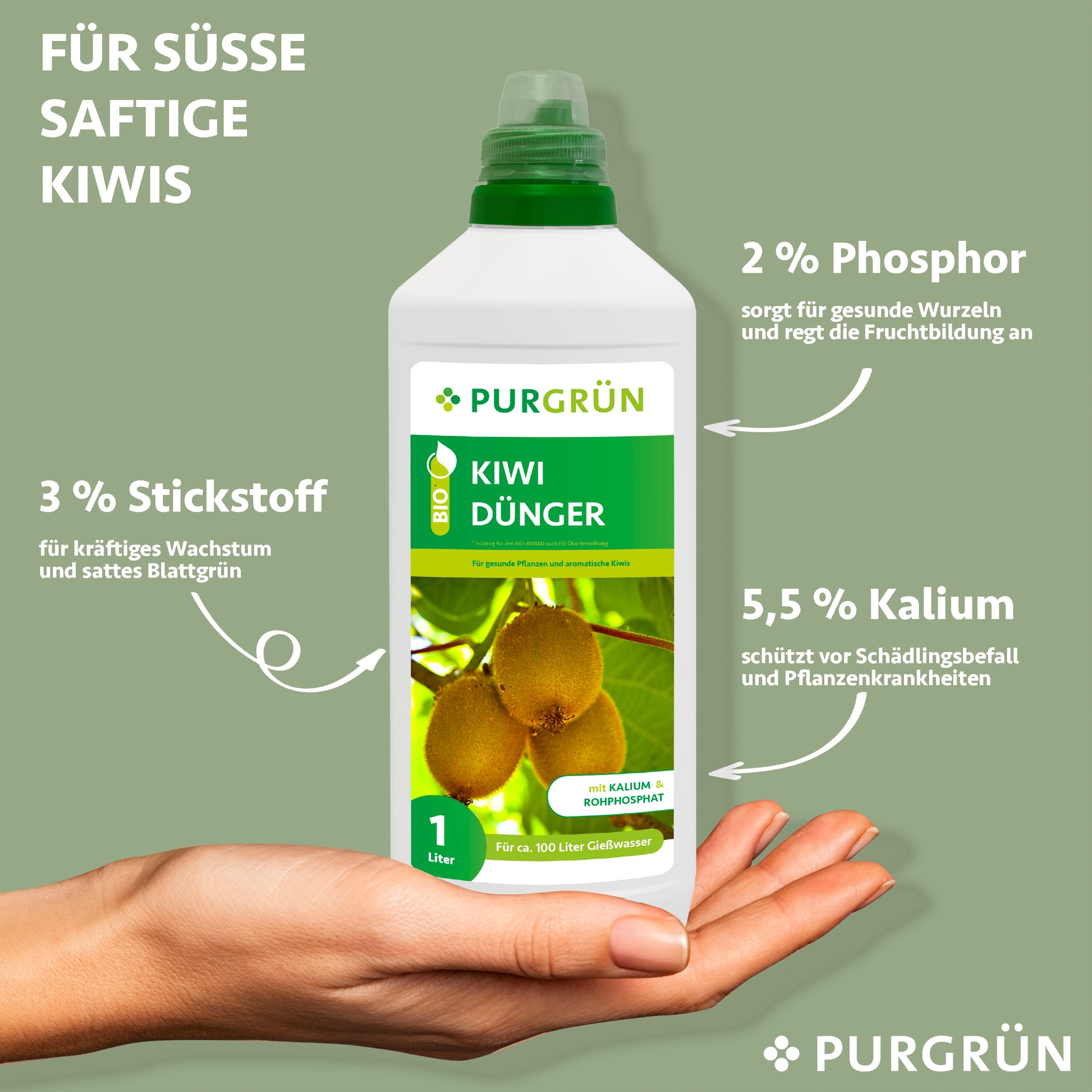 Eine Hand hält eine 1L-Flasche Purgrün Bio-Kiwi-Dünger. Der Text hebt 3 % Stickstoff, 2 % Phosphor und 5,5 % Kalium für eine optimale Nährstoffversorgung und gesundes Wachstum Ihrer Kiwipflanzen hervor.