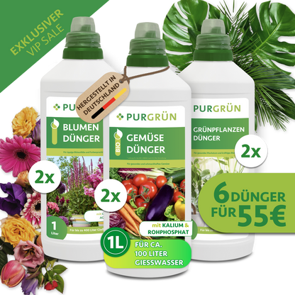 Klassiker-Mix - 3 x 2 Liter