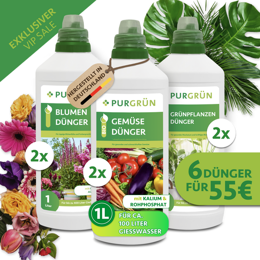 Klassiker-Mix - 3 x 2 Liter